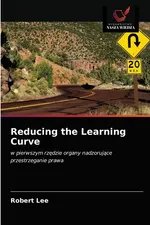 Reducing the Learning Curve - Robert Lee