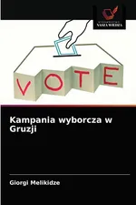 Kampania wyborcza w Gruzji - Giorgi Melikidze
