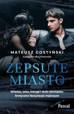 Zepsute miasto - Mateusz Gostyński