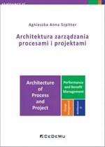 Architektura zarządzania procesami i projektami - Szpitter Agnieszka Anna
