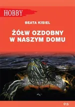 Żółw ozdobny w naszym domu pielęgnowanie - Gorazdowski Marcin Jan