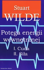 Potęga energii wewnętrznej - Stuart Wide