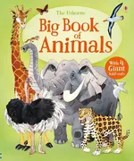 Big Book of Animals - Hazel Maskell