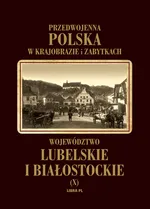 Województwo lubelskie i białostockie Tom 10 - Władysław Woydyno