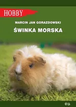 Świnka morska - Gorazdowski Marcin Jan