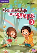 Cambridge Little Steps 3 Big Book