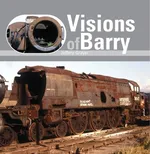Visions of Barry - Jeffery Grayer