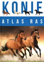 Konie Atlas ras - Katarzyna Piechocka