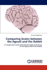 Comparing Brains Between the Agouti and the Rabbit - Sue-Ann Robertson