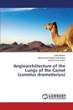 Angioarchiitecture of the Lungs of the Camel (Camelus Dromedarius) - Dalia Ibrahim