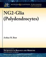 NG2-Glia (Polydendrocytes) - Arthur M. Butt