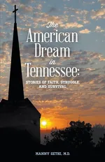 American Dream in Tennessee - Manny Sethi
