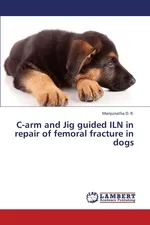 C-Arm and Jig Guided Iln in Repair of Femoral Fracture in Dogs - R. Manjunatha D.