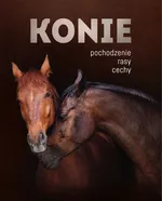 Konie - Ewa Walkowicz