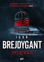 Splątanie - Igor Brejdygant