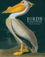 Birds - Jonathan Elphick