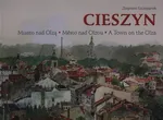 Cieszyn Miasto nad Olzą - Zbigniew Szczepanek