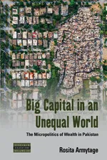 Big Capital in an Unequal World - Rosita Armytage