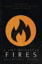 A Lot Of Little Fires - David L Martin