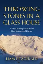 Throwing Stones in a Glass House - Liam FitzGerald