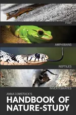 The Handbook Of Nature Study in Color - Fish, Reptiles, Amphibians, Invertebrates - Anna Comstock