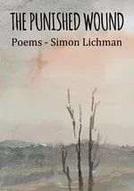 The Punished Wound - Simon Lichman