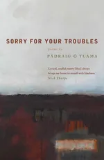 Sorry for Your Troubles - Padraig O. Tuama