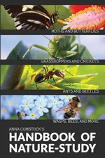 The Handbook Of Nature Study in Color - Insects - Anna B Comstock