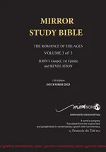 11th Edition Paperback Mirror Study Bible  VOL 3 Updated December 2023 John's Writings; Gospel; 1st Epistle & Apocalypse - TOIT Francois DU