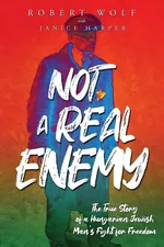 Not A Real Enemy - Robert Wolf