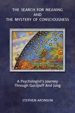 The Search For Meaning and The Mystery of Consciousness - Stephen Aronson