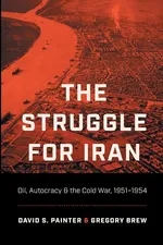 The Struggle for Iran - David S. Painter