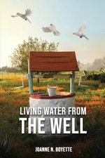 Living Water from the Well - Joanne N. Boyette