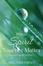 Where Spirit Touches Matter - Melvin R. Friedman