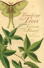 Teaching the Trees - Joan Maloof