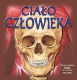 Ciało człowieka - Sue Harris