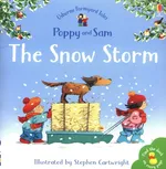 The Snow Storm - Heather Amery