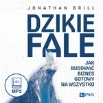 Dzikie fale - Jonathan Brill