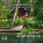 Jezioro Zapomnienie - Joanna Tekieli
