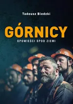 Górnicy. Opowieści spod ziemi - Tadeusz Biedzki