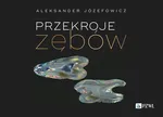 Przekroje zębów - Aleksander Józefowicz
