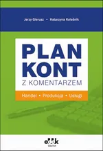 Plan kont z komentarzem - handel, produkcja, usługi - Dr Katarzyna Koleśnik