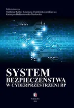 System bezpieczeństwa w cyberprzestrzeni RP - Katarzyna Badźmirowska-Masłowska