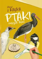 Ptaki naszych lasów Zeszyt z kalką - Katarzyna Kopiec-Sekieta