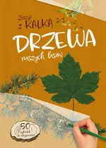 Drzewa naszych lasów Zeszyt z kalką - Andżelika Bielańska
