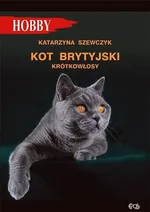 Kot brytyjski krótkowłosy - Katarzyna Szewczyk