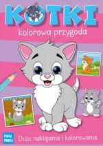 Kotki - kolorowa przygoda - Katarzyna Maćkowiak