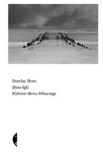 Słone łąki - Dorthe Nors