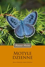 Motyle dzienne - Sielezniew Izabela