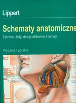 Schematy anatomiczne - Outlet - H.Lippert